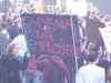 IMGP2348.JPG